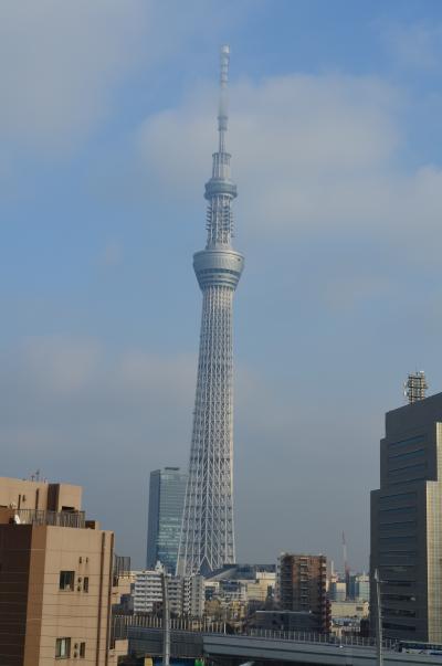 スカイツリーと浅草寺