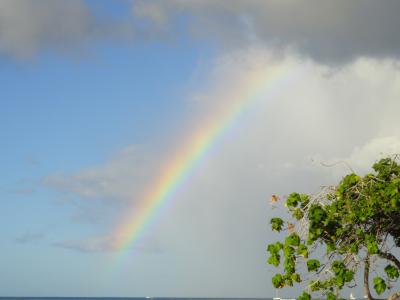 やっと行けました、ハワイ2012秋