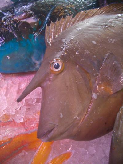 ハナタレ小僧の沖縄再訪 四の巻 街歩き