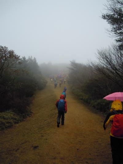 伊豆半島、達磨山～小達磨山～金冠山