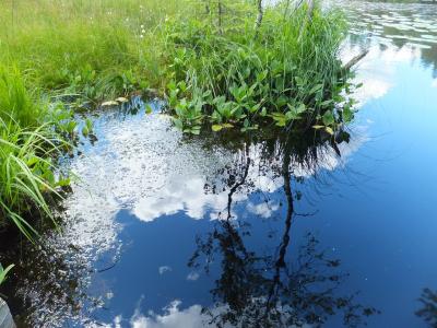 ヌークシオ国立公園で憧れの湖を探す！