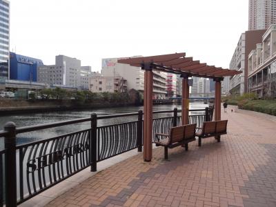 2013年　初国内旅行　東京観光　＆　日本の避寒地　沖縄、、。　－　⑥　高層住宅地の港区芝浦アイランドお散歩をしてお台場に新交通システムのゆりかごめで行く。　１月　２０１３年
