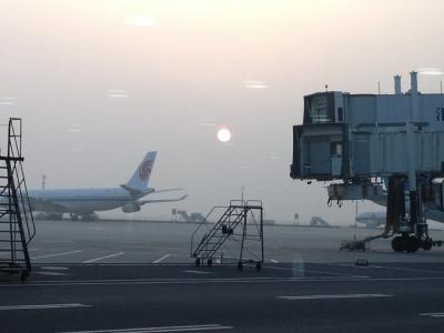 日本に行っていました!