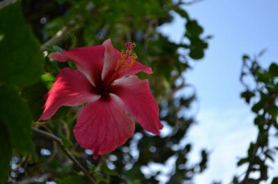 弾丸二泊二日 沖縄旅行 2012