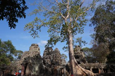 アンコール大回りコースへ!年末年始の旅⑦