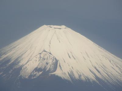 久しぶりに空から綺麗な富士山が見られました。