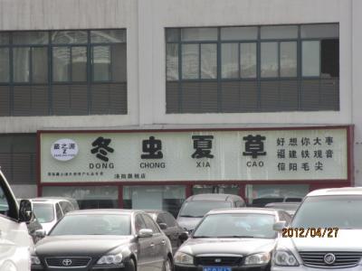 中国・歴史の旅（４４）洛陽の新市街。 