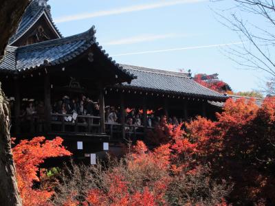 2012紅葉の京都　東福寺・永観堂