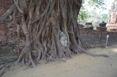 2013年1月 夫婦&親子の旅 観光・美食・癒しのタイ3日間~アユタヤ編~