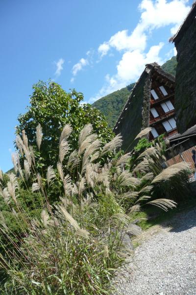 飛騨高山・白川郷・金沢♪