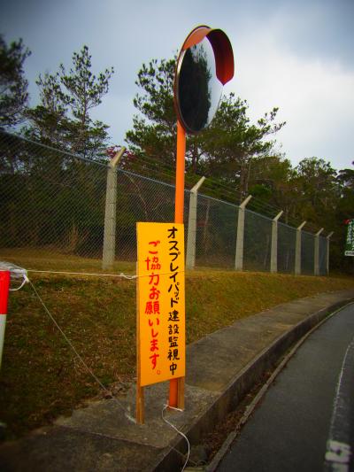 やんばると美ら海とジュゴンへ②(続・いまも戦場の街)~準備中~