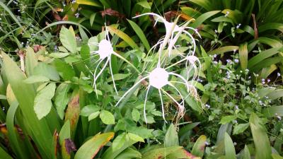 休暇の過ごし方