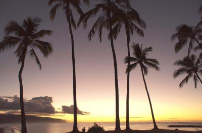 2011年9月 レンタカーでまわるオアフ島半周ツアー