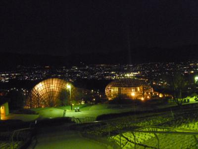 2012　山梨旅行～富士急ハイランド・忍野八海・ワイン作り・パワーストーン・フルーツ公園etc・・・～