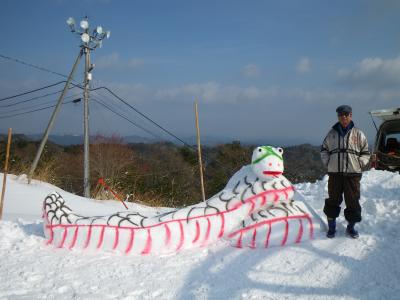 雪が降って、天気が良ければ…スキーがしたい。