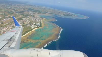 急ぎ足で石垣島１泊２日の旅【石垣島→那覇 ＡＮＡ１７６８便《Ｂ７３７−７００》利用編】(２０１３年１月）