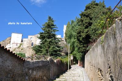 冬なお青い海のコートダジュール 6 ロクブリュヌへの道