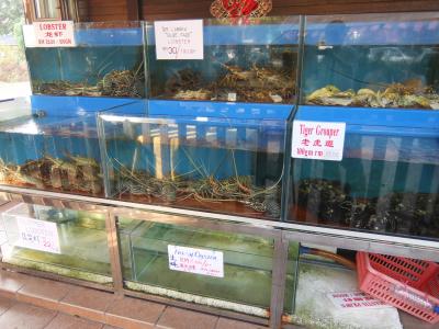 マレーシア9日間の旅(ランカウイ&クアラルンプール) その3