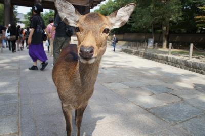２０１２　NARA