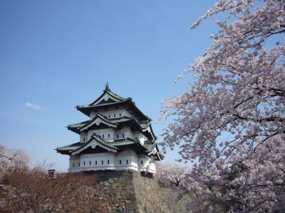 ２０１１　ＨＩＲＯＳＡＫＩ