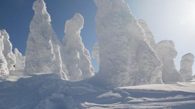 樹氷の中を滑る