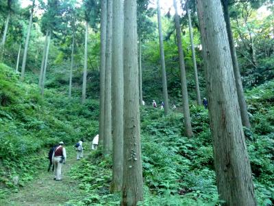 奥の細道を訪ねて最終回（第16回）06旧北陸道の要衝だった”湯尾峠”