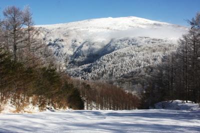 信州「峰の原高原」の霧氷