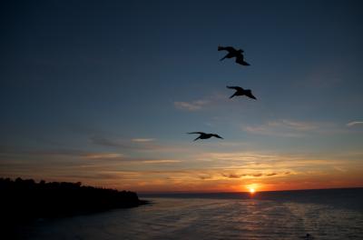ロサンジェルス近郊パロスバーデスの丘からの夕陽