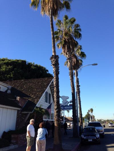 恒例になりつつあるアメリカ4日目