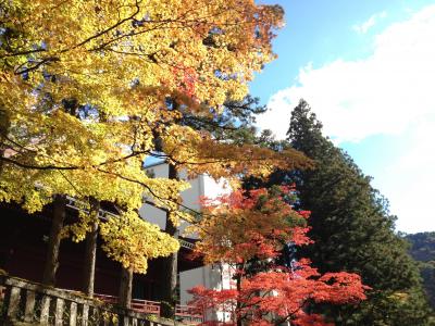 2012年11月：日光東照宮と中禅寺湖 日帰り紅葉の旅