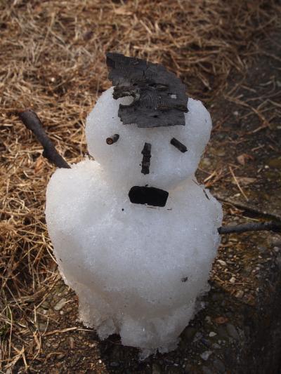 万博公園、梅と雪とアンパンマン