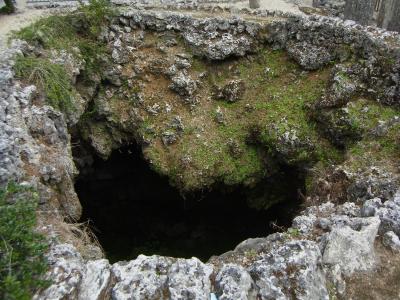 やんばると美ら海とジュゴンへ⑦（ばーちゃんの底力！）～準備中～