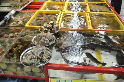 旧正月24時間釜山弾丸旅行