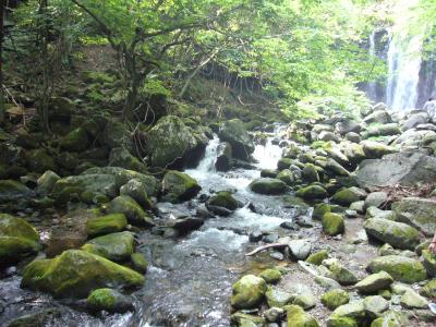 ２００８　ＮＡＳＵ