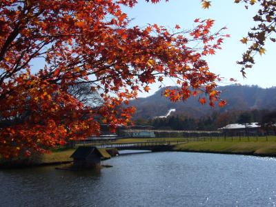 ２０１０　ＮＡＧＡＮＯ