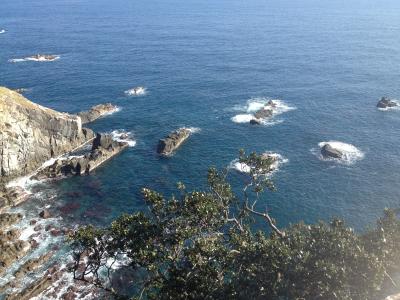 四国旅行記☆高知足摺岬から徳島へ～徳島地鶏「阿波尾鶏」を食す!o(⌒囗⌒)oΨ ｲｯﾀﾀﾞｷﾏｰｰｰｽ!!