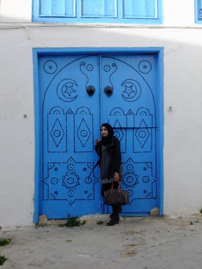 チュニジア周遊ツアー10日間抄録