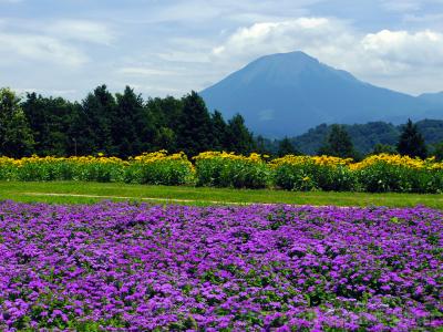 夏の西日本紀行 - 鳥取編