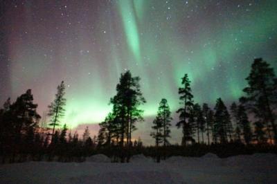 トロムソでオーロラ三昧