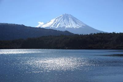 富士山の裏側に…　①野鳥の森・西湖・河口湖から見た富士山　２０１３．０２．１０
