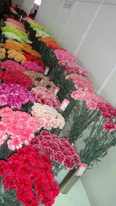 【フラワーマルシェ】