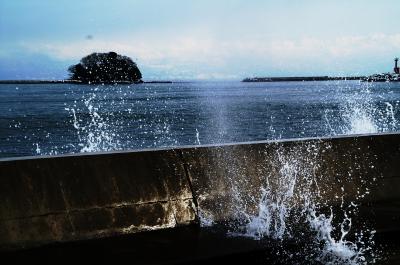 冬の日本海の幸「加能蟹」・「氷見の寒鰤」と「A５等級飛騨牛」を堪能！！