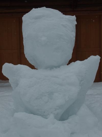 雪知らずの神奈川っ子、豪雪地帯に行く！