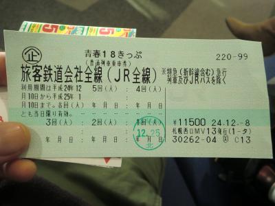 １２月、山陽旅行①、青春18切符、１日目、福知山城