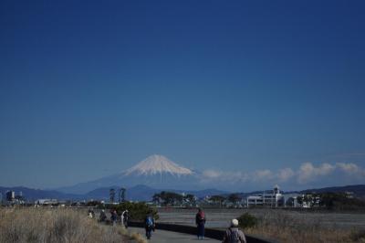 新春の駿河湾からの富士山と登呂遺跡を訪ねて