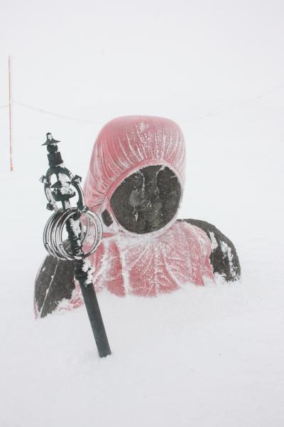 「蔵王”ＺＡＯ”」スキー＆樹氷ライトアップ