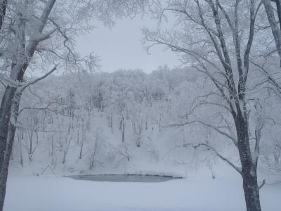蔵王温泉にてひたすら雪と戯れる その2