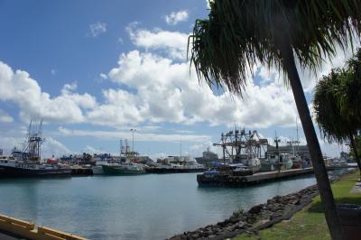 2013年2月　４泊６日　親子３世代でよくばりハワイ②　～ワードセンター・ダウンタウン方面・アラモアナ