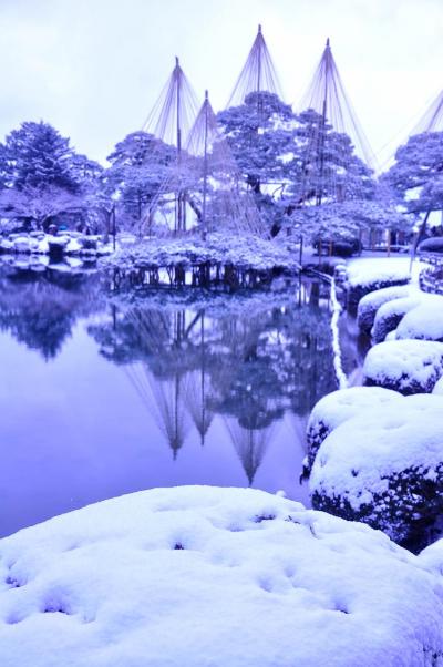 雪吊り　～兼六園の冬景色