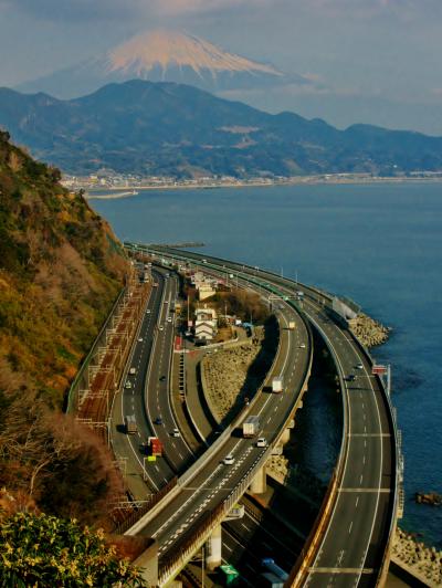 さった峠Walk-2　富士山＆駿河湾　絶景の眺望で　☆京成バス新春恒例で３回目